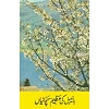 Urdu Evangelisatieboek Great Bible Truths - Grote Bijbelse Waarheden, paperback uitvoering