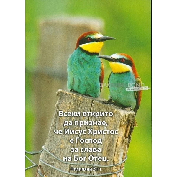 Bulgaars, Ansichtkaart, 12 verschillende tekstkaarten met foto