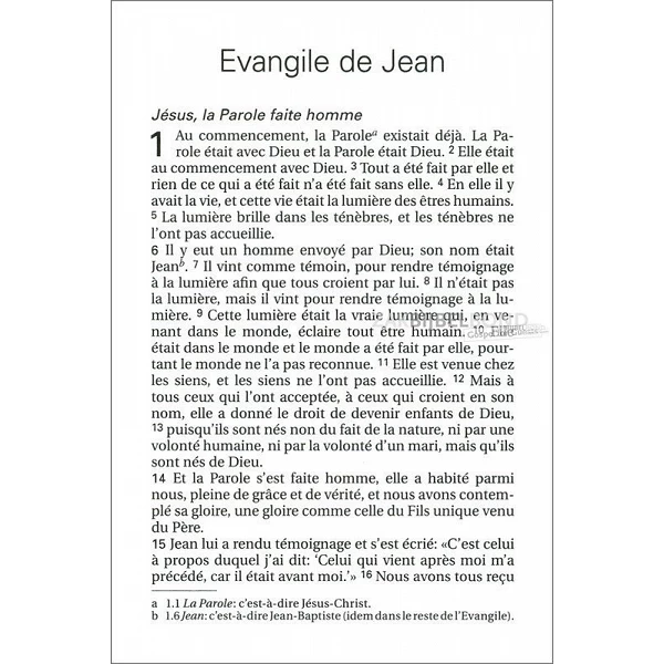 Frans Johannes-evangelie, Louis Segond 21 vertaling, paperback