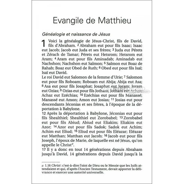 Frans Mattheüs-evangelie, Louis Segond 21 vertaling, paperback