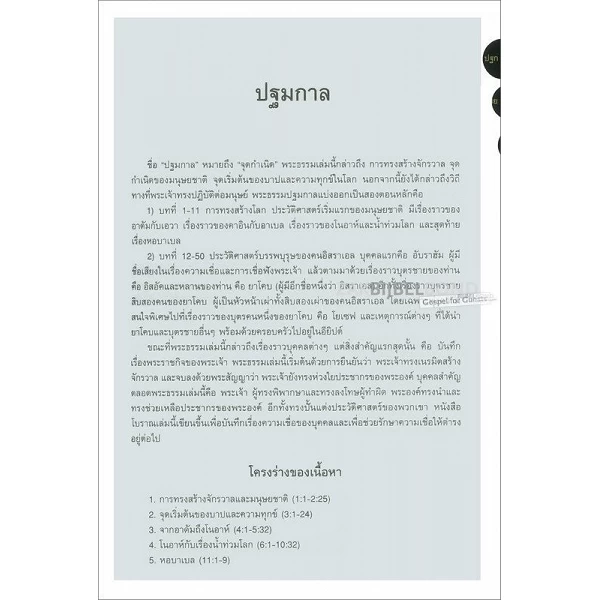 Thai Bijbel, Thai Standard Version, groot formaat, kunstleer, zilversnede, roze, duimgrepen