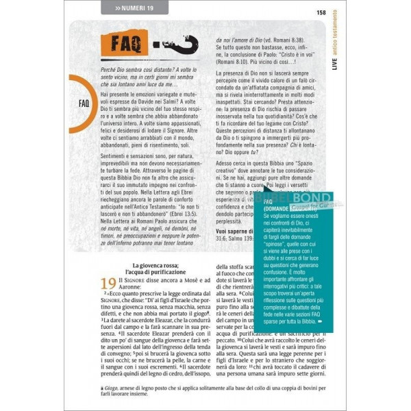 Italiaanse JongerenBijbel, Nuova Riveduta 2006, harde kaft