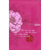 Nederlandse Bijbel, Nieuwe Bijbelvertaling (NBV) Limited edition voor vrouwen, klein formaat