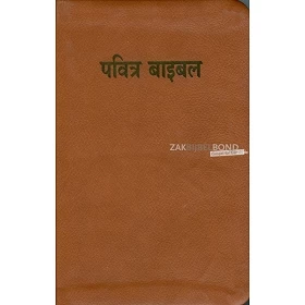 Hindi Bijbel Easy-to-Read Version