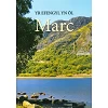 Welsh Markus-evangelie. Uitgevoerd in groot formaat met paperback kaft met natuurfoto.