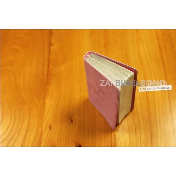 Engelse Bijbel in de New International Version (NIV) - POCKET PASTEL PINK BIBLE - Medium formaat met zilversnede