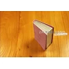 Engelse Bijbel in de New International Version (NIV) - POCKET PASTEL PINK BIBLE - Medium formaat met zilversnede