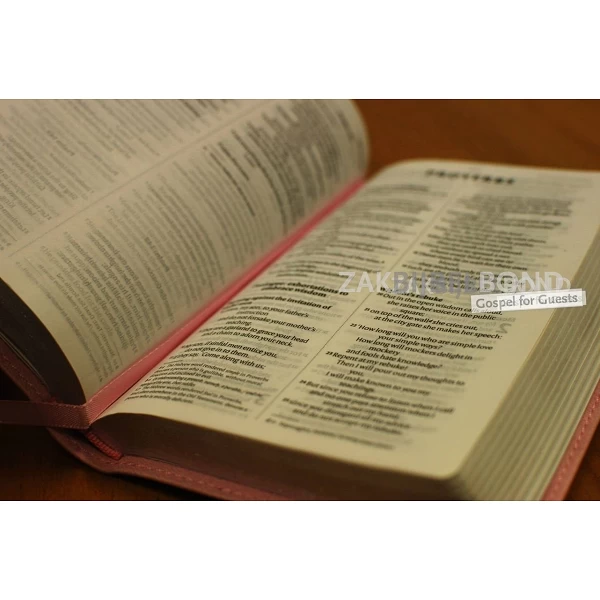 Engelse Bijbel in de New International Version (NIV) - POCKET PASTEL PINK BIBLE - Medium formaat met zilversnede