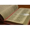 Engelse Bijbel in de New International Version (NIV) - POCKET PASTEL PINK BIBLE - Medium formaat met zilversnede