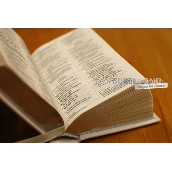 Engelse Bijbel NIV - Tiny white gift Bible