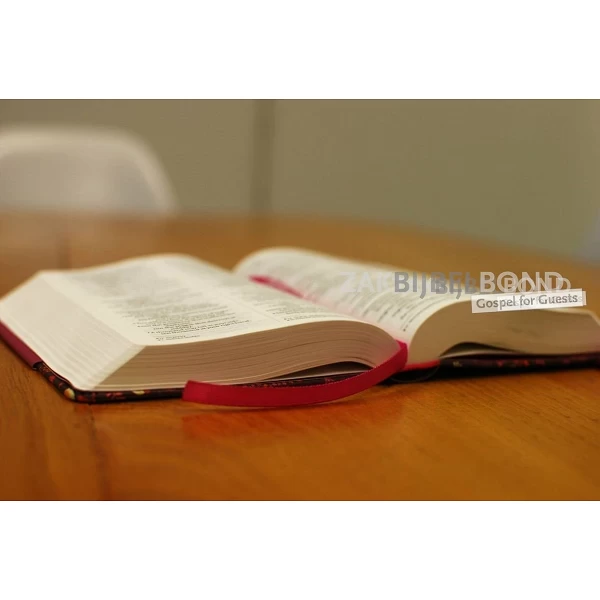Engelse Bijbel in de New International Version (NIV) - POCKET FLORAL NOTEBOOK BIBLE - Compact formaat met elastieken sluiting