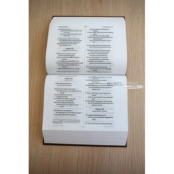 NIV CLEAR PRINT BIBLE