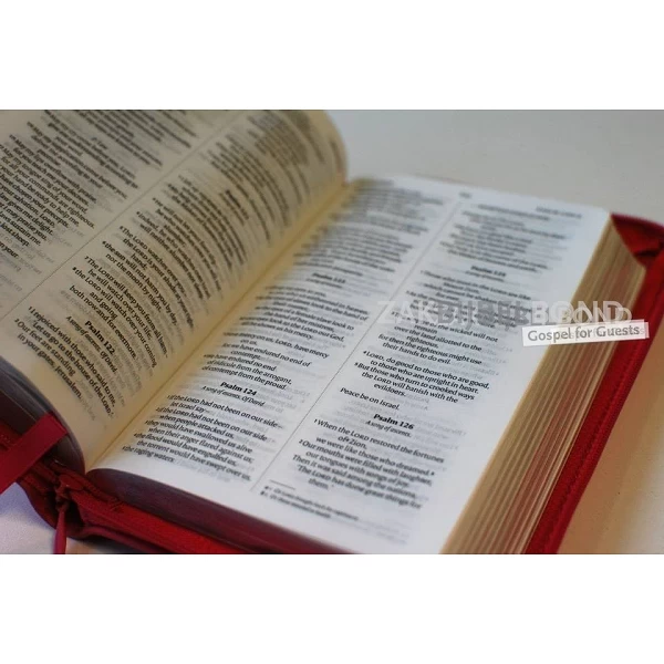 Engelse Bijbel in de New International Version (NIV) - POCKET PINK SOFT-TONE BIBLE - Met imitatieleer, rits en zilversnede