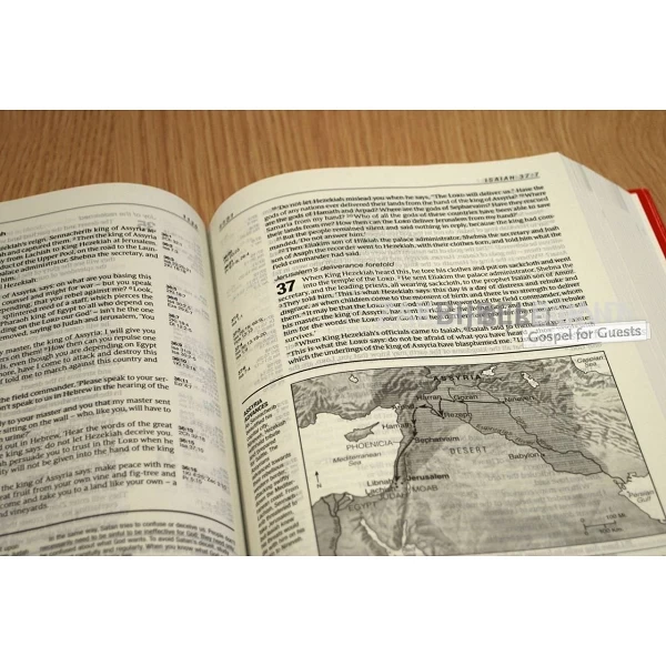 Engelse StudieBijbel in de New International Verrsion - LIFE APPLICATION STUDY BIBLE - Groot formaat met harde kaft