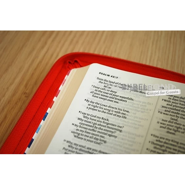 Engelse Bijbel in de New International Version (NIV) - POCKET RED SOFT-TONE BIBLE - Met imitatieleer en rits