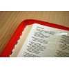 Engelse Bijbel in de New International Version (NIV) - POCKET RED SOFT-TONE BIBLE - Met imitatieleer en rits