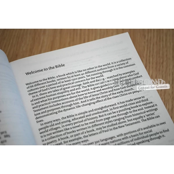 Engelse Bijbel in de New International Version (NIV) - GRAPES CLASSIC - Uitgevoerd in medium formaat met paperback kaft