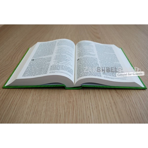 Engelse Bijbel NIV - SchoolBijbel