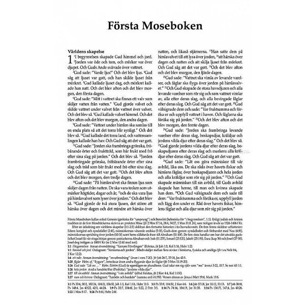 Zweedse Bijbel in Moderne taal. Uitgevoerd in groot formaat met paperback kaft.