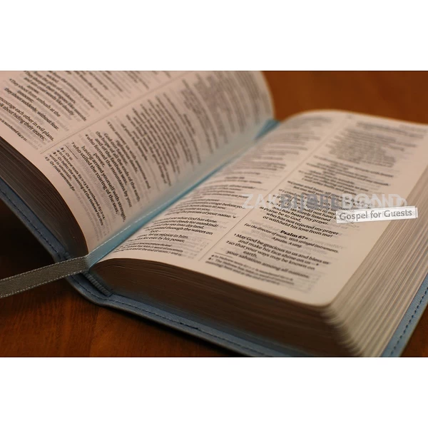Engelse Bijbel in de New International Version (NIV) - POCKET PASTEL BLUE BIBLE - Medium formaat met zilversnede