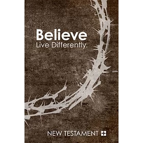 Engels Nieuw Testament in de New International Version (NIV) - Uitgevoerd in handzaam formaat met paperback kaft.
