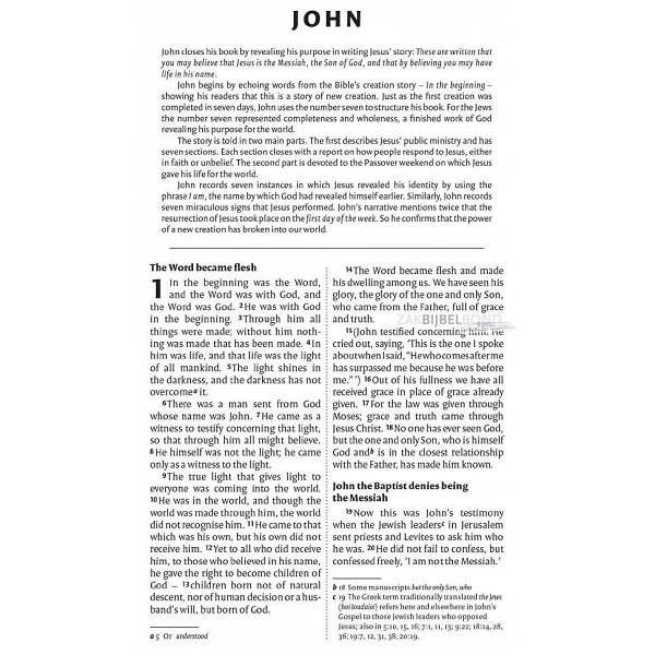 English New Testament in the New International Version (NIV) - paperback