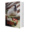 Nederlandse Bijbel in de Het Boek-vertaling. ROODLETTER FOTOBIJBEL