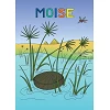 Roemeens kleurboek - Mozes