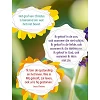 Dutch Easter booklet - New Life