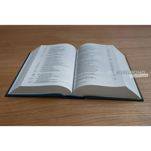 Engelse Bijbel in de New International Version (NIV). Groot Letter editie met harde kaft