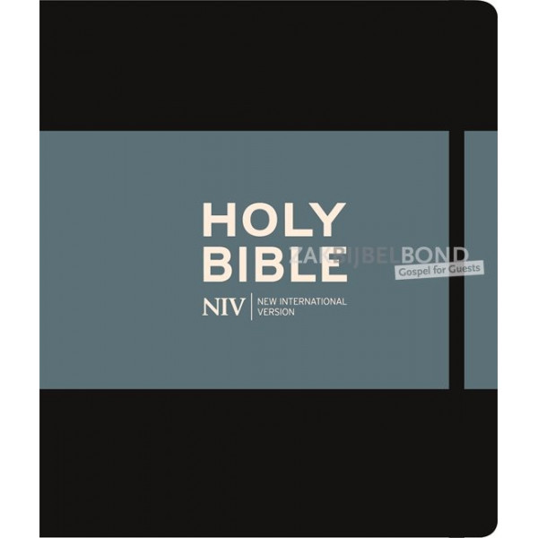 NIV Journaling Bible - lined margin
