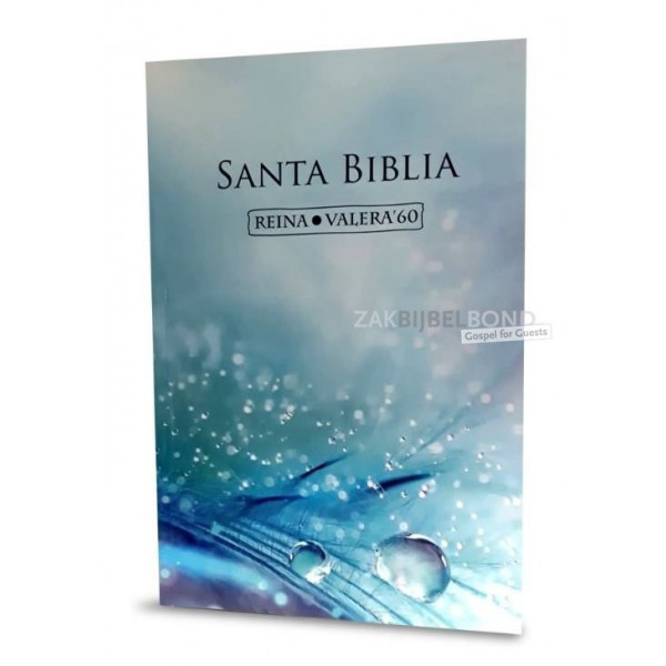 Spaanse Bijbel, RVR '60, duidelijk lettertype, mooie kwaliteit, paperback