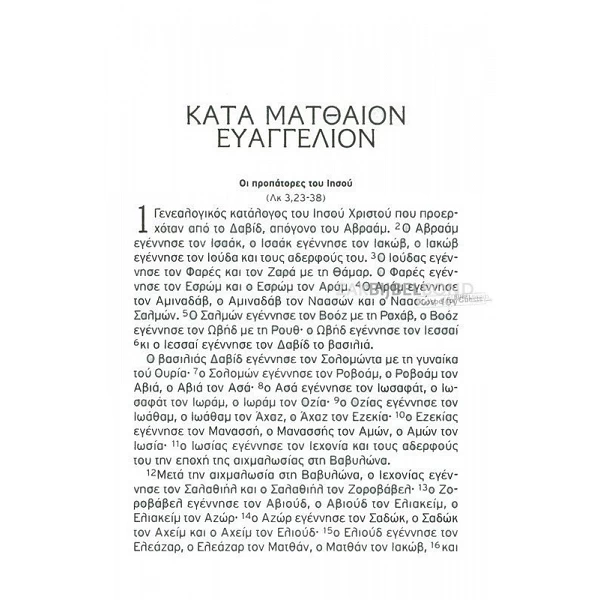 Grieks Nieuw Testament in Modern Grieks vertaling met paperback kaft