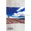 Romanian GIANT LETTER book calendar 2020 - The Good Seed