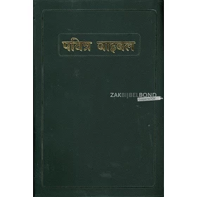 Hindi Bible