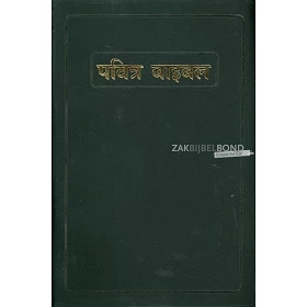 Hindi Bijbel