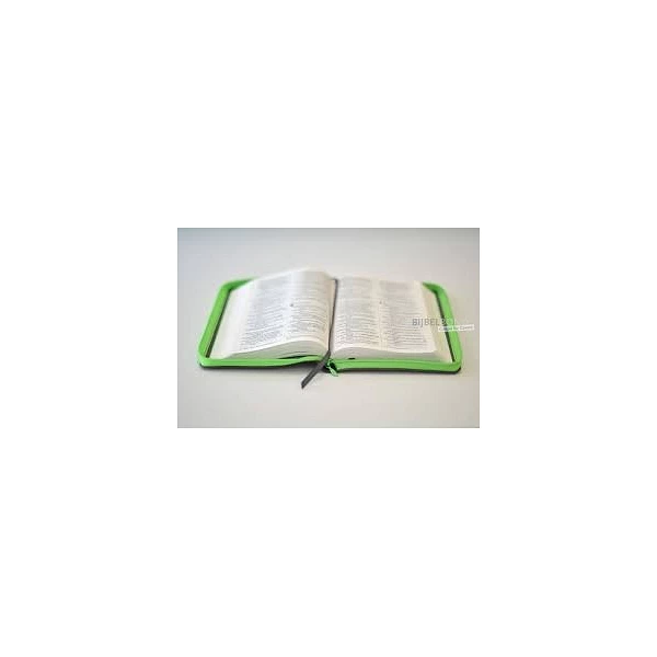 Engelse Bijbel NIV - Groot antraciet rits