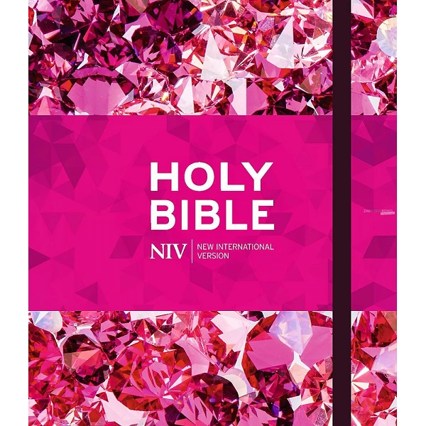 English Bible NIV - Journalling Bible ruby
