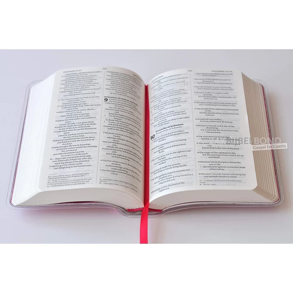 Engelse Bijbel NIV - Ruby Pocket Bible