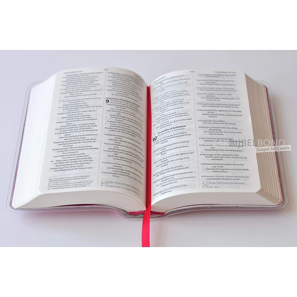 ENGLISH NIV RUBY POCKET BIBLE