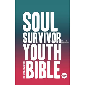Engelse Bijbel NIV - Soul Surviver Youth Bible