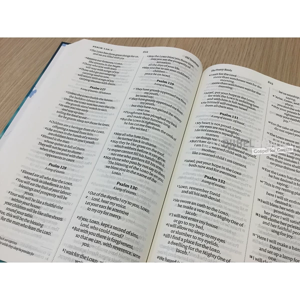 Engelse Bijbel NIV - Grotere letter