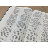 Engelse Bijbel NIV - Grotere letter