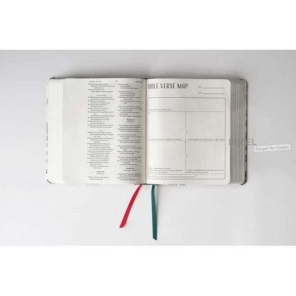 Engelse Bijbel NIV - Journalling and Verse mapping