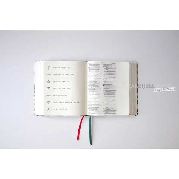 Engelse Bijbel NIV - Journalling and Verse mapping