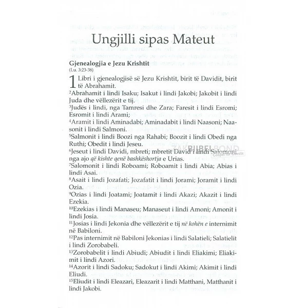 Albanees Nieuw Testament in Hedendaags Albanees in compact formaat en paperback uitvoering