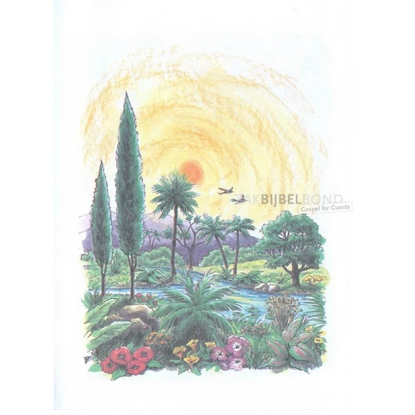 Albanees/Engelse Kinderbijbel, Mijn eerste Bijbel, K.N. Taylor [kindermateriaal]