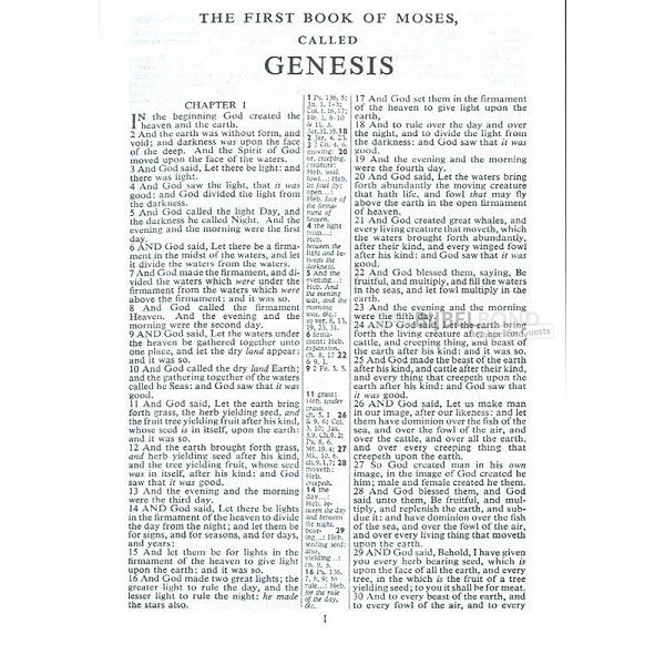 Engelse Bijbel KJV - Pocket reference bordeaux