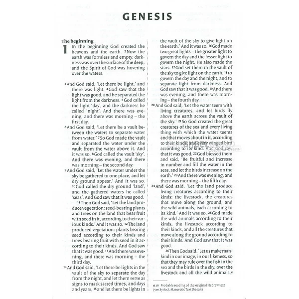 Engelse Bijbel in de New International Version - STREET PASTOR BIBLE - Compact formaat met paperback kaft & afgeronde hoeken