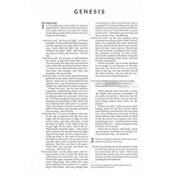 Engelse Bijbel in de New International Version (NIV) - ANGLICISED GIFT AND AWARD BIBLE - Medium formaat met paperback kaft.